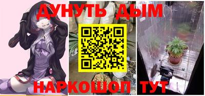 дмт Будённовск