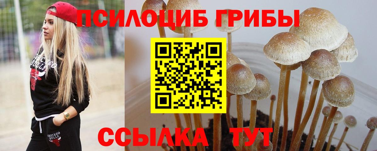 Галлюциногенные грибы мухоморы Северобайкальск