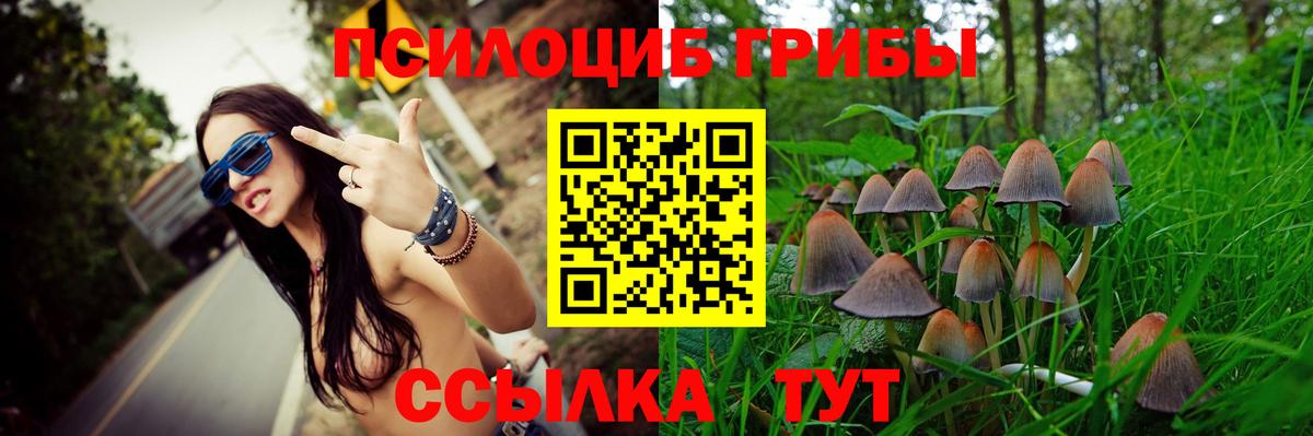 Галлюциногенные грибы Magic Shrooms  Вход с VPN  Северобайкальск  Галлюциногенные грибы Magic Shrooms 