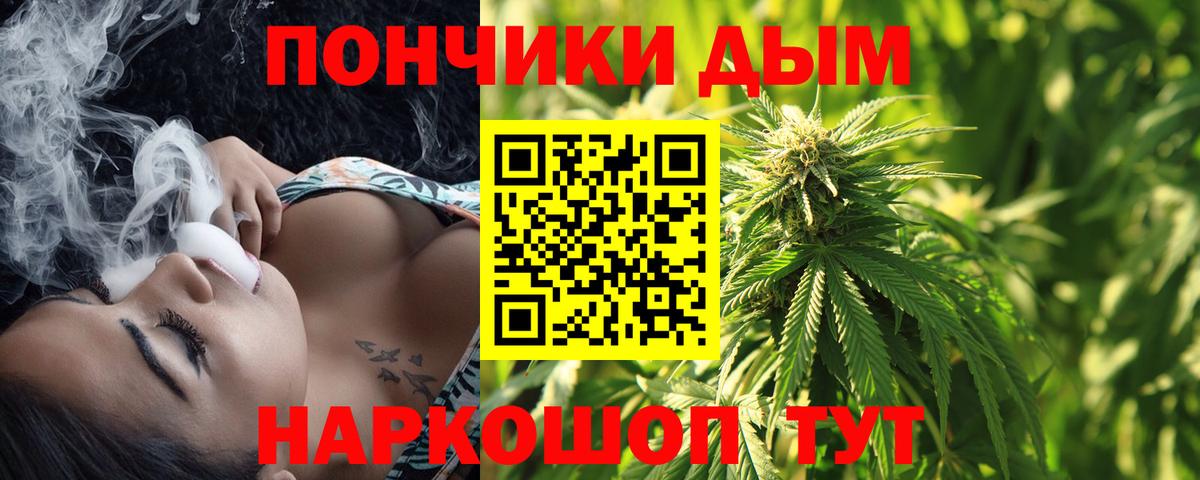 Шишки марихуана план  Марихуана конопля  Каннабис конопля  Вход с VPN  МАРИХУАНА Amnesia  Северобайкальск 